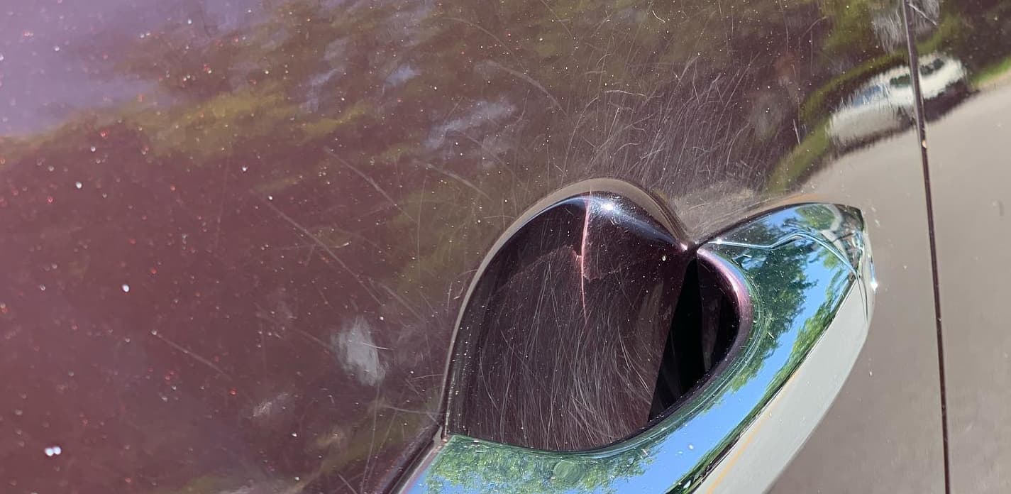 Car Before Maryland Clean Rides Paint Correction 2